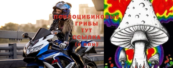 бошки Алексин